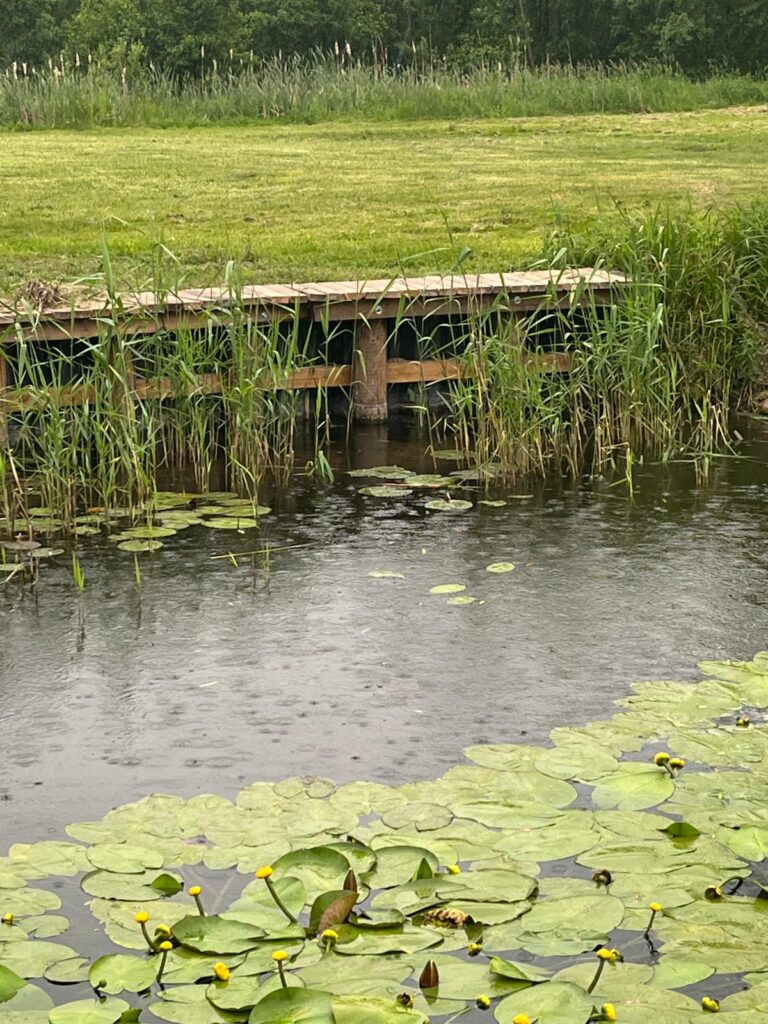 Dostosowujmy pomost pod panujące warunki nad jeziorem